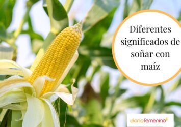 Descubre el significado de soñar con mazorcas de maíz: Interpretación y simbolismo