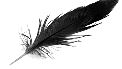 Descubre el significado de soñar con pluma negra y su interpretación en tu vida