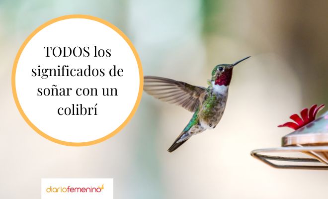 Descubre el significado de soñar con un colibrí azul: ¿Qué mensaje te está enviando tu subconsciente?