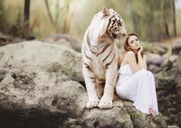 El simbolismo detrás de soñar con tigres blancos - Descubre su significado en tus sueños.